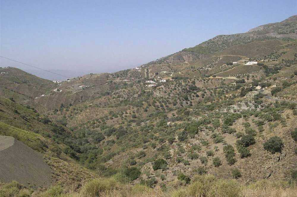 Rustic Land in Sedella · Sedella