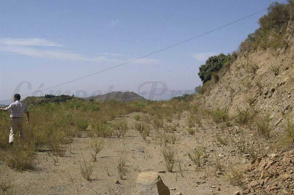 Rustic Land in Sedella · Sedella