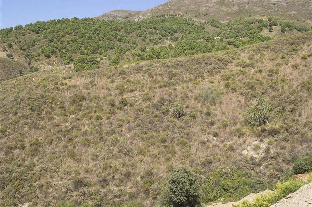 Rustic Land in Sedella · Sedella