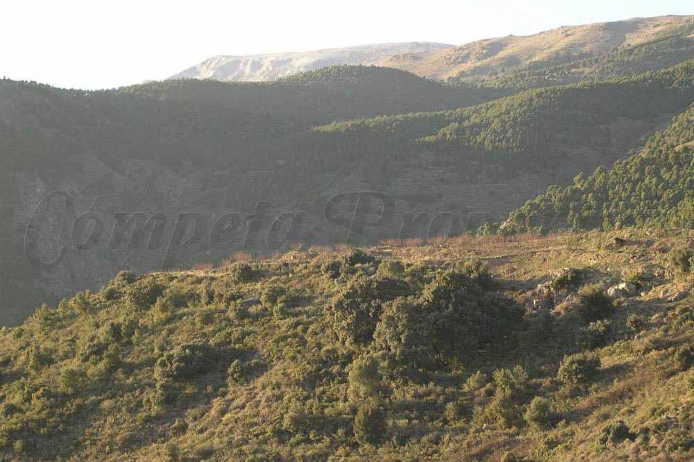 Photo 3 sur 9 — Terrain Rustique à Canillas de Albaida · Canillas de Albaida