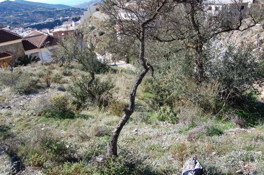Terreno Rústico en Cómpeta · Cómpeta