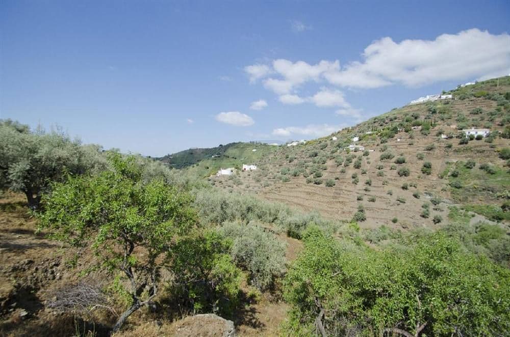 Foto 3 van 5 — Landhuis in Cómpeta · Cómpeta