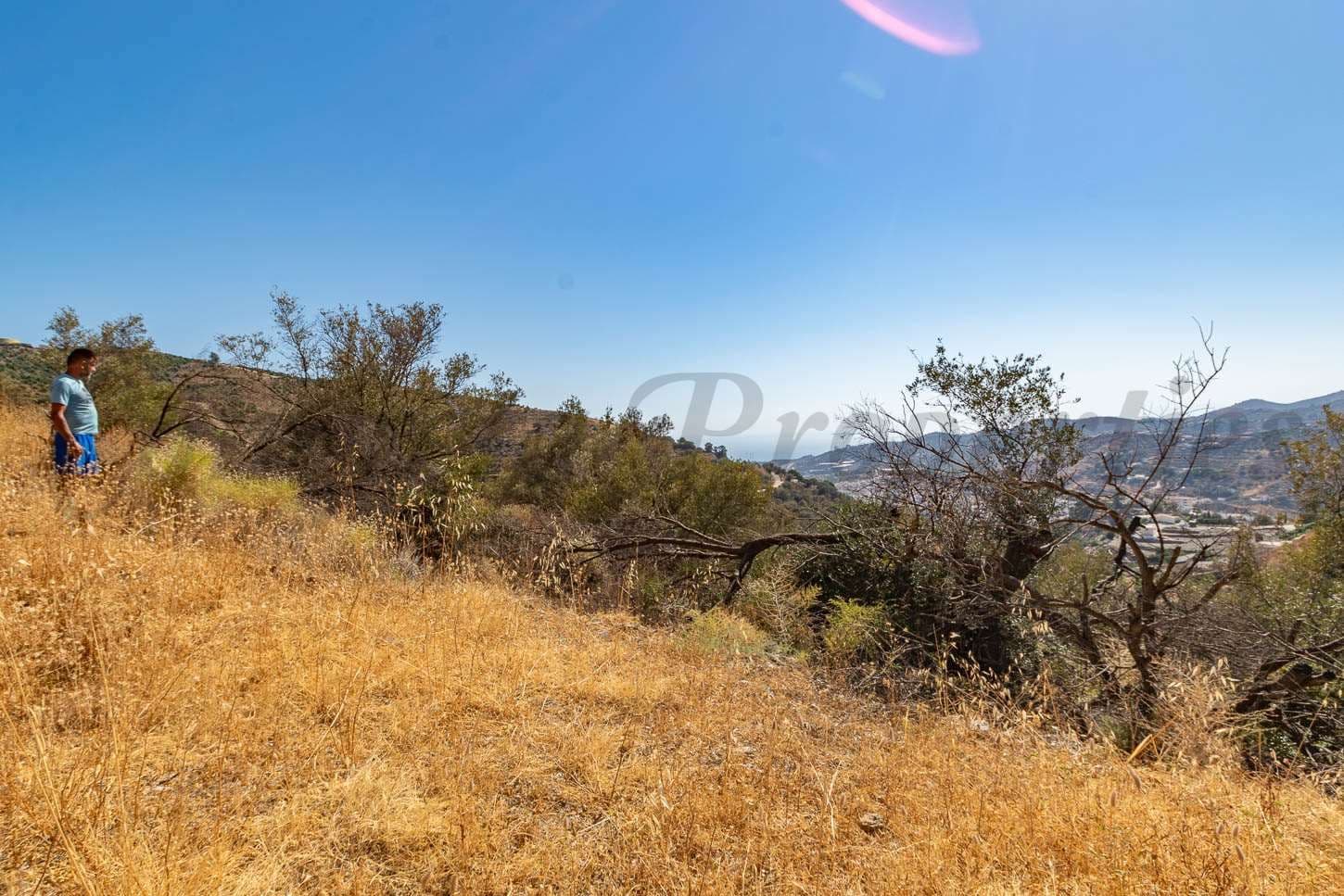 Terrain Rustique à Torrox · Torrox