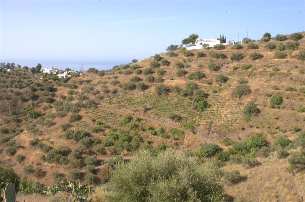 Rustic Land in Torrox · Torrox