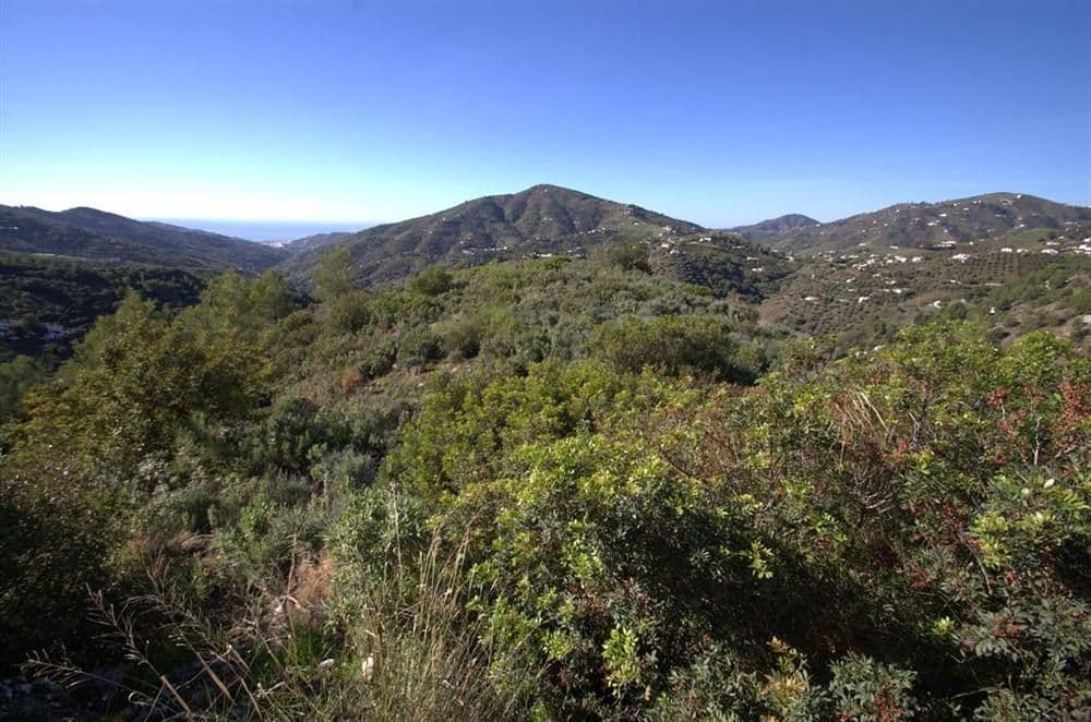 Photo 3 sur 11 — Terrain Rustique à Cómpeta · Cómpeta