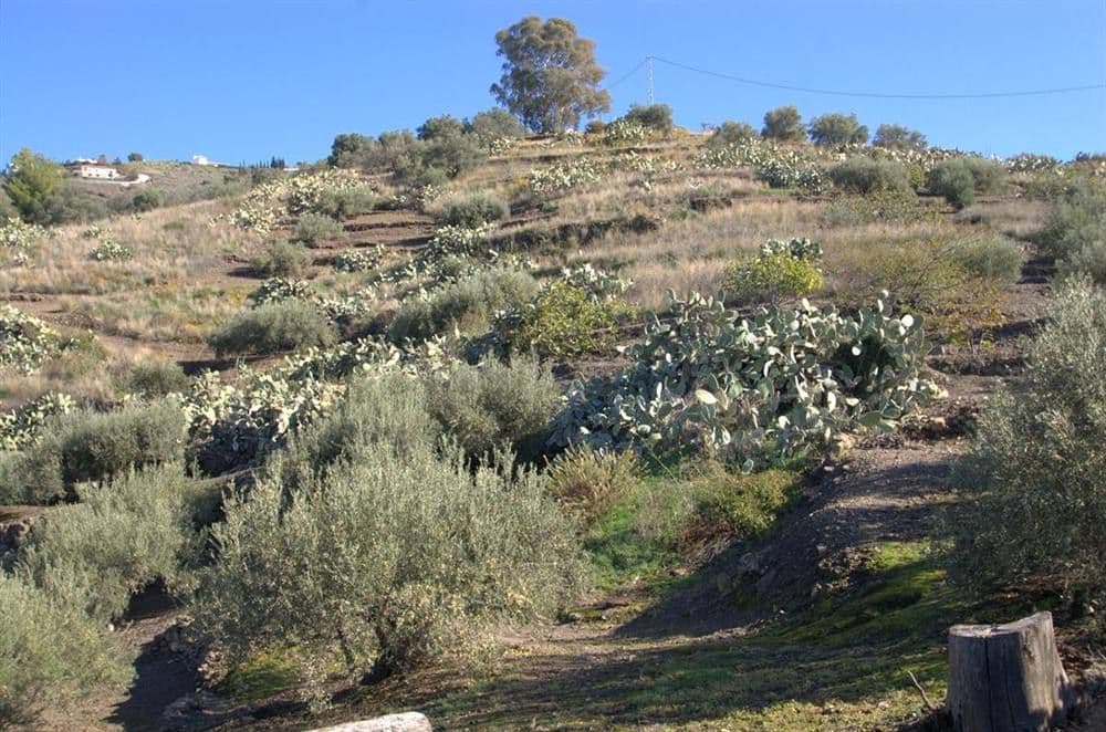 Casa de Campo en Torrox · Torrox