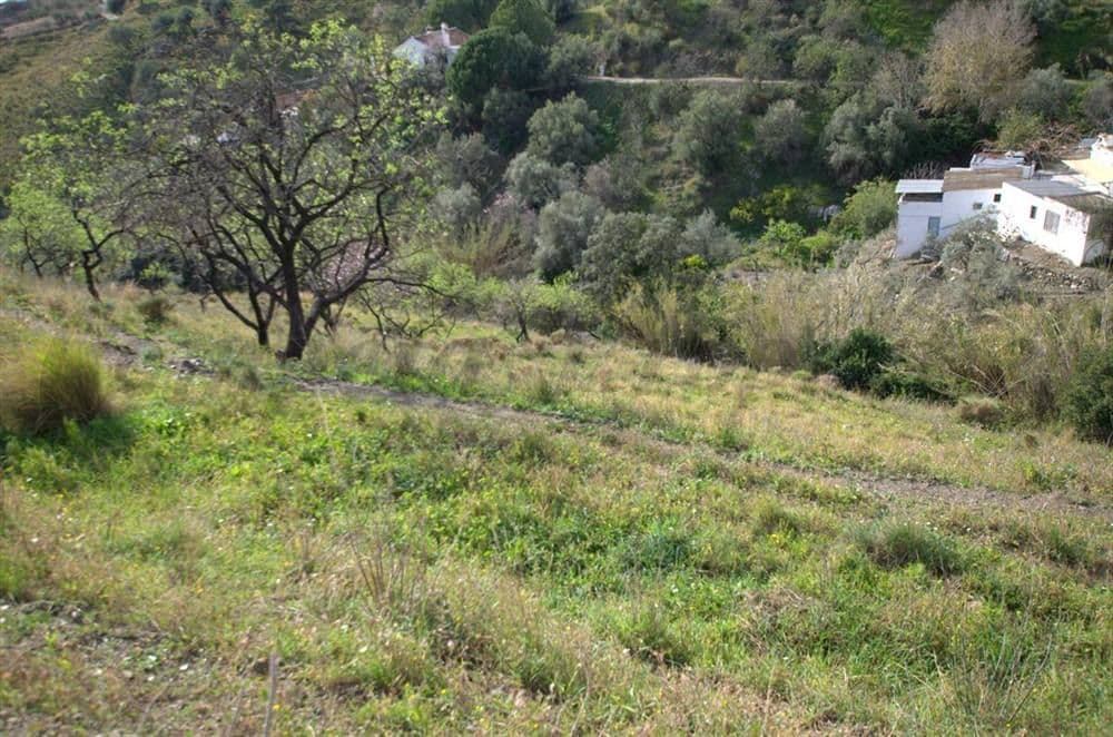 Terrain Rustique à Cómpeta · Cómpeta