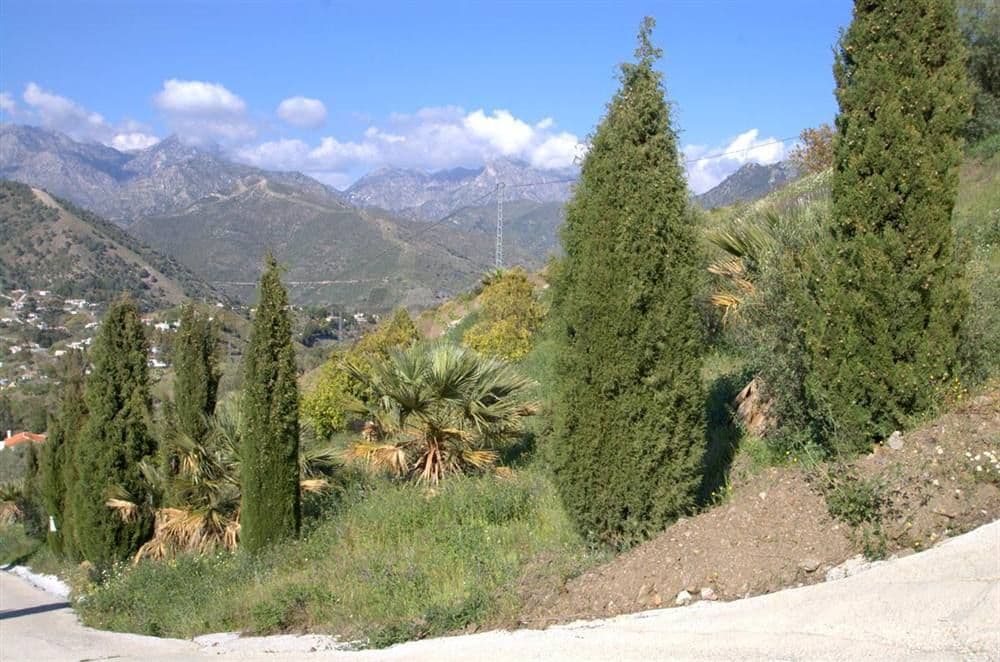 Rustic Land in Cómpeta · Cómpeta