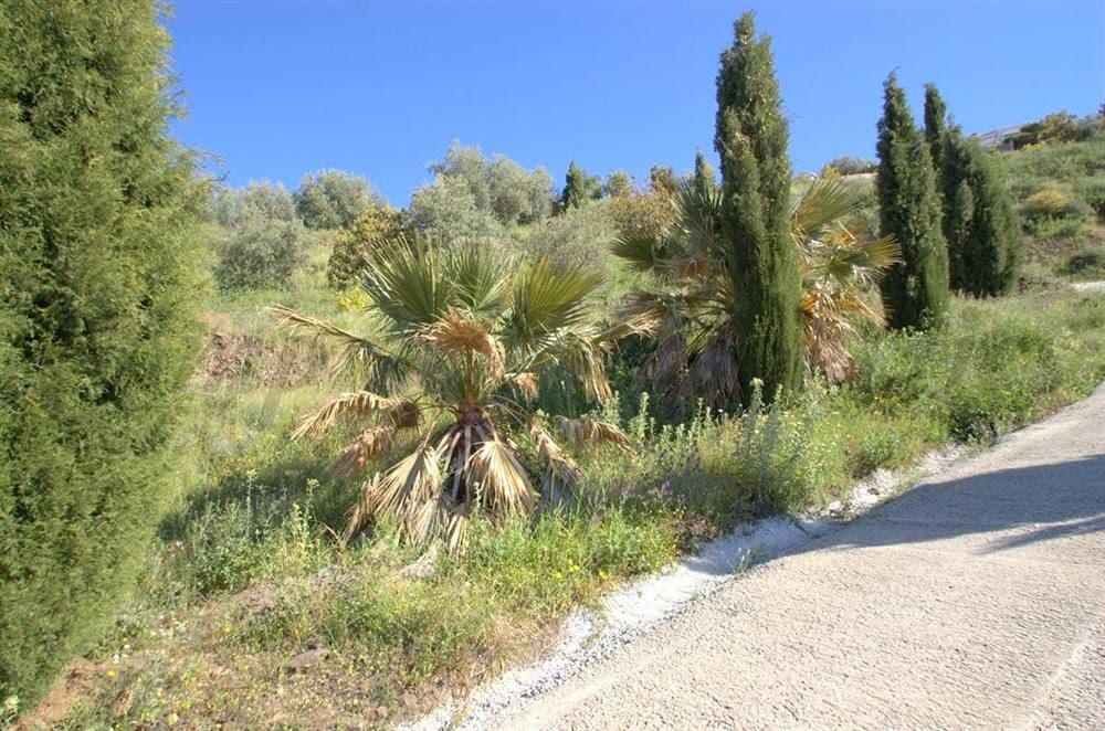 Photo 3 sur 7 — Terrain Rustique à Cómpeta · Cómpeta