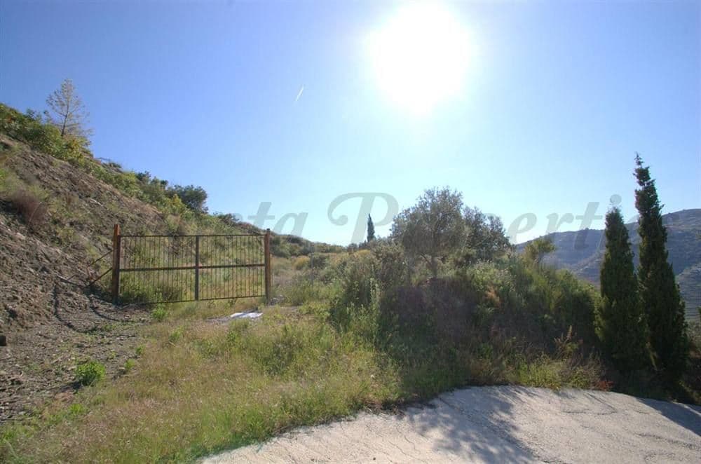 Rustic Land in Cómpeta · Cómpeta