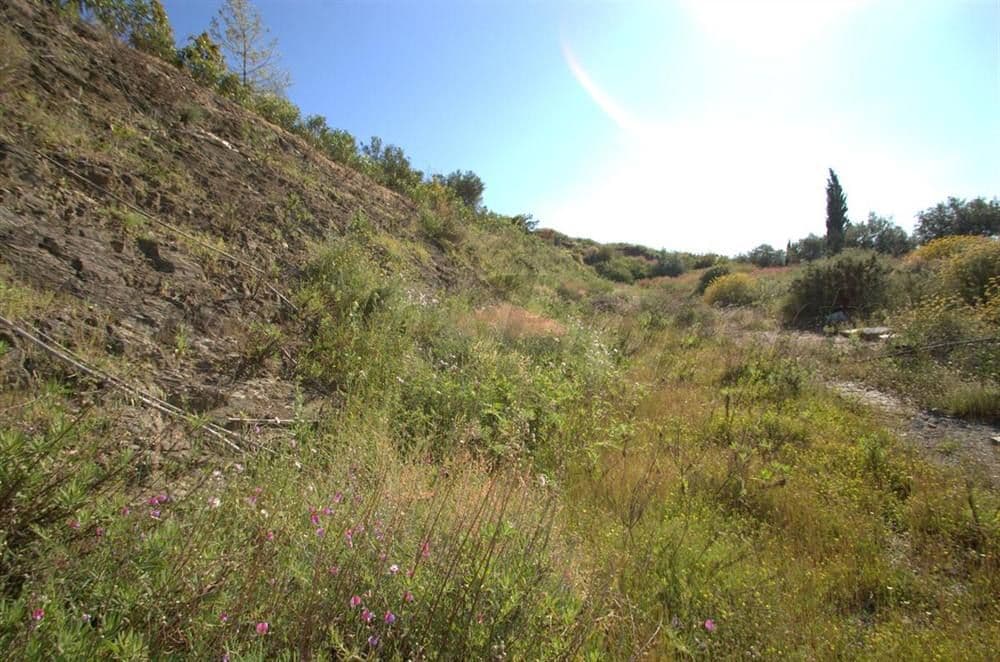Photo 3 sur 5 — Terrain Rustique à Cómpeta · Cómpeta