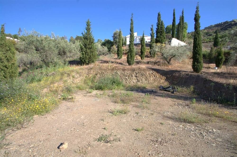 Rustic Land in Cómpeta · Cómpeta