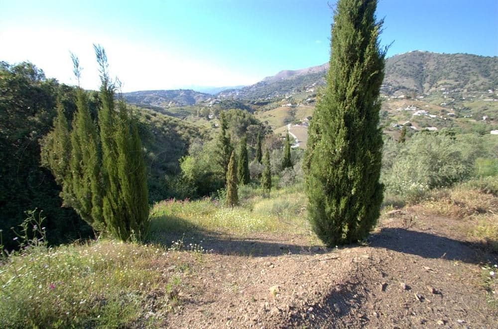 Photo 3 sur 12 — Terrain Rustique à Cómpeta · Cómpeta