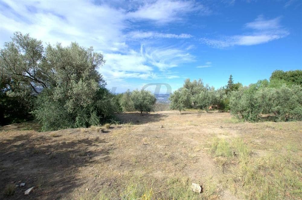 Foto 3 de 8 — Terreno Urbano en Canillas de Aceituno · Canillas de Aceituno