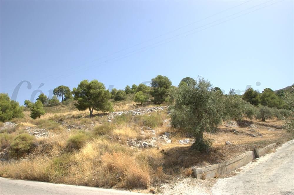 Ländliches Grundstück in Canillas de Albaida · Canillas de Albaida
