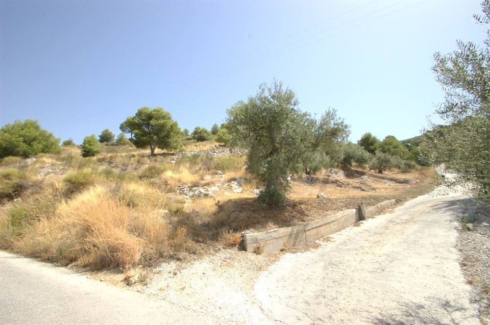 Foto 3 van 6 — Landelijk Terrein in Canillas de Albaida · Canillas de Albaida
