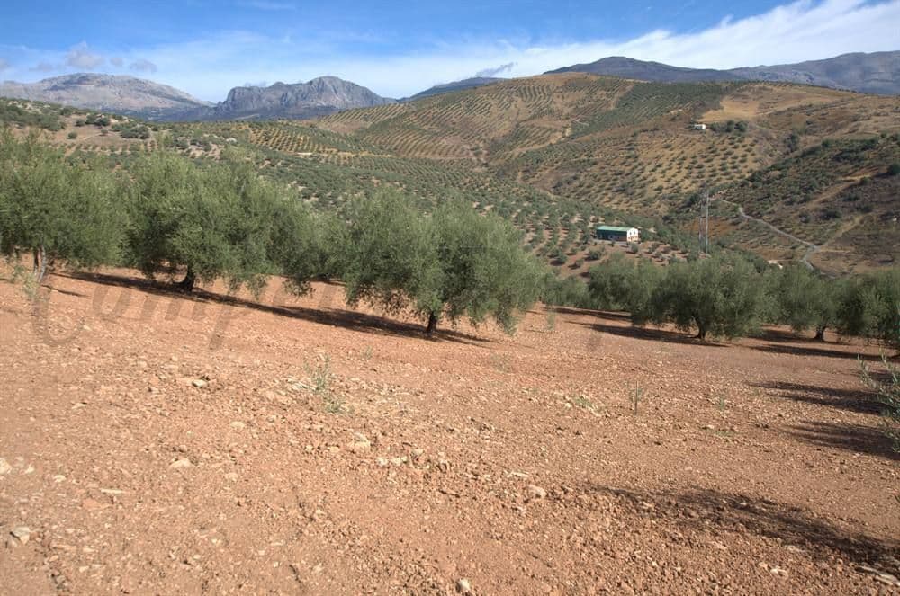 Bild 1 av 12 — Lantlig Tomt i Cútar · Cútar