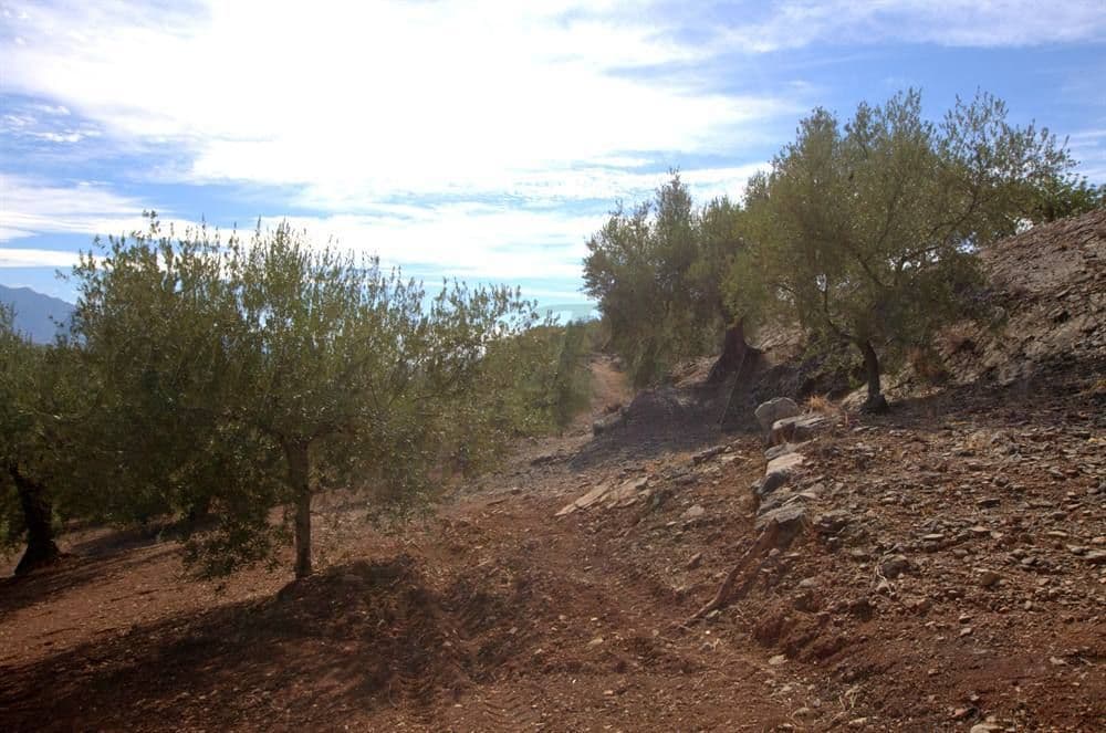Bild 3 av 12 — Lantlig Tomt i Cútar · Cútar