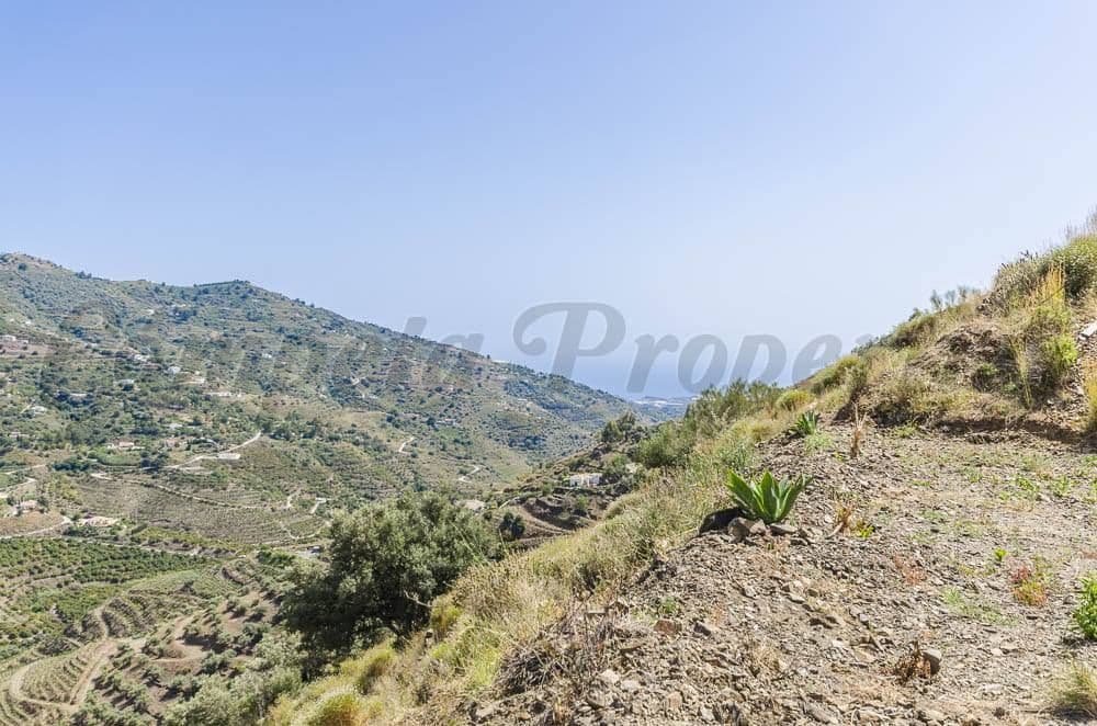 Photo 3 of 6 — Rustic Land in Cómpeta · Cómpeta