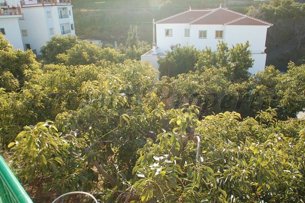 Foto 3 de 8 — Terreno Urbano en Canillas de Albaida · Canillas de Albaida
