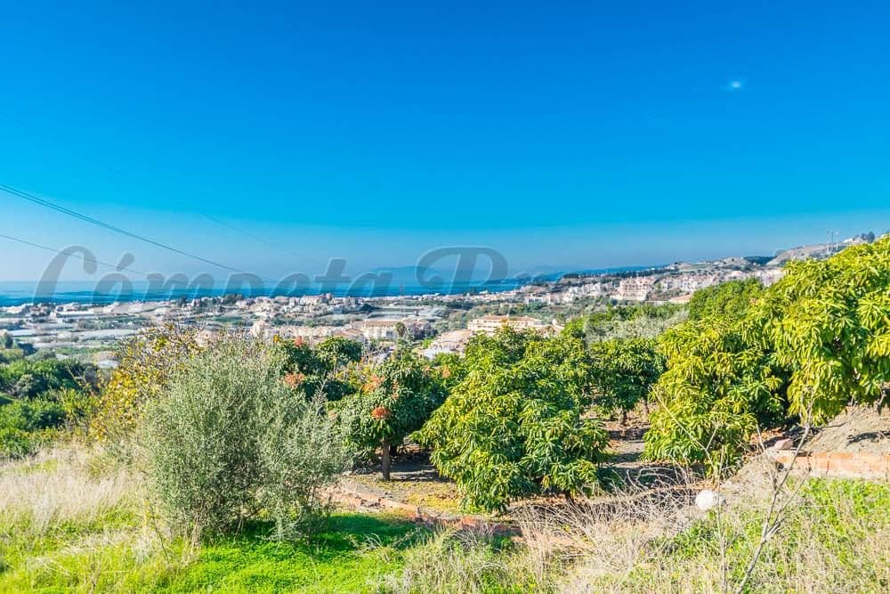 Terreno Urbano en Torrox-Costa · Torrox-Costa