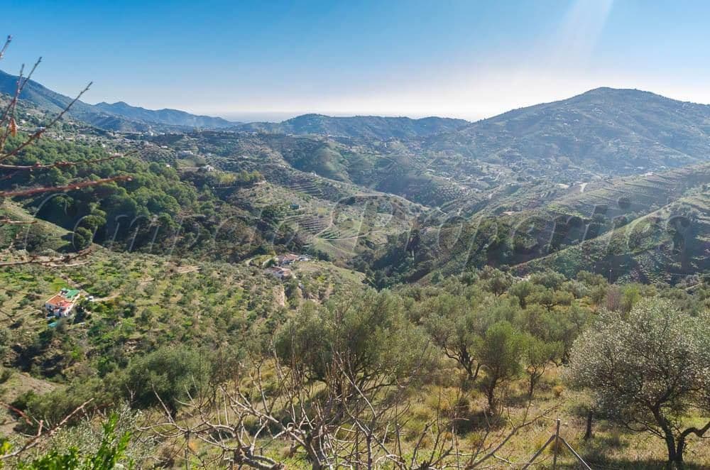 Terrain Rustique à Cómpeta · Cómpeta