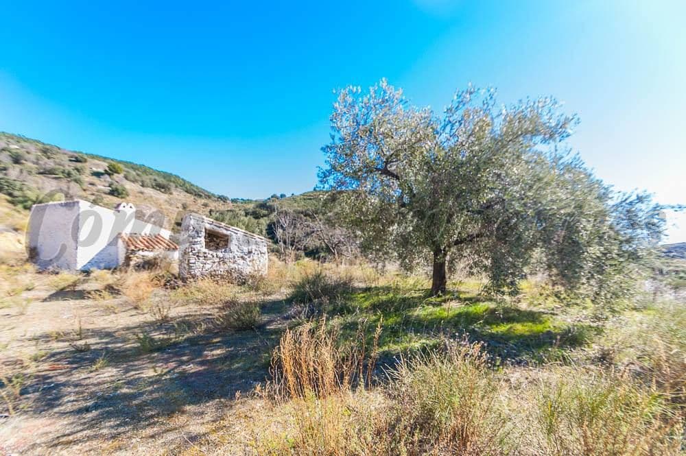 Rustic Land in Sedella · Sedella