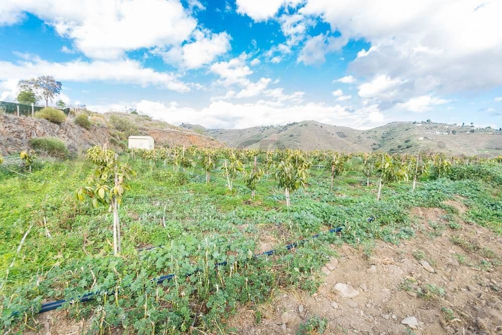 Photo 1 of 15 — Rustic Land in Torrox · Torrox