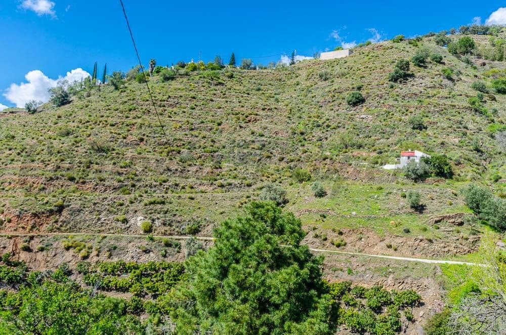 Terrain Rustique à Cómpeta · Cómpeta