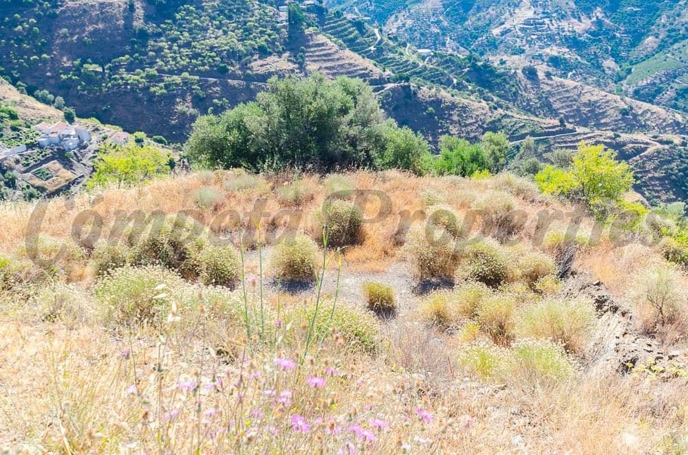 Photo 1 sur 5 — Terrain Rustique à Cómpeta · Cómpeta