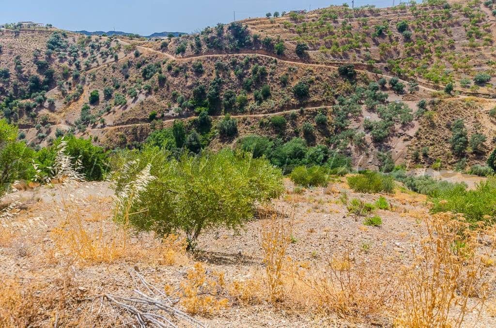 Rustic Land in Sedella · Sedella
