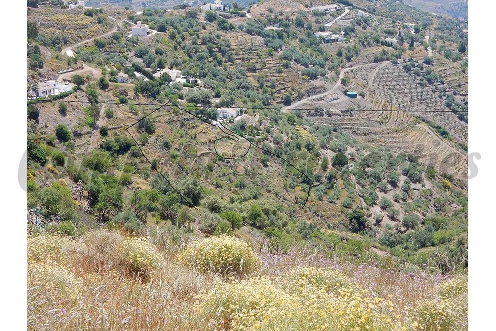 Rustic Land in Sayalonga · Sayalonga