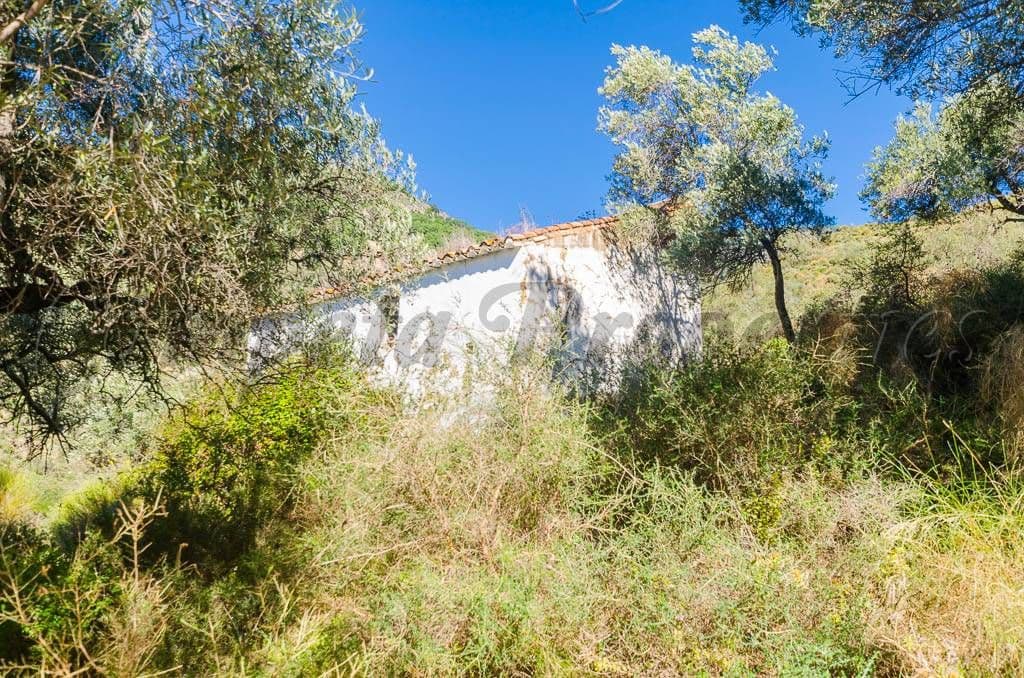 Ländliches Grundstück in Canillas de Albaida · Canillas de Albaida