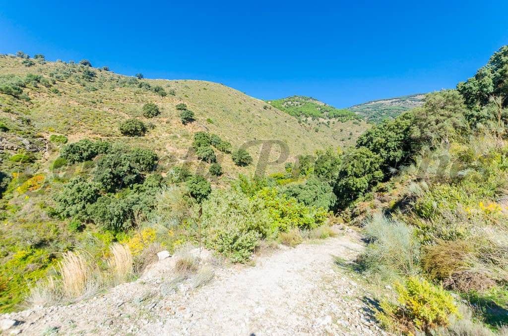 Photo 3 sur 5 — Terrain Rustique à Canillas de Albaida · Canillas de Albaida