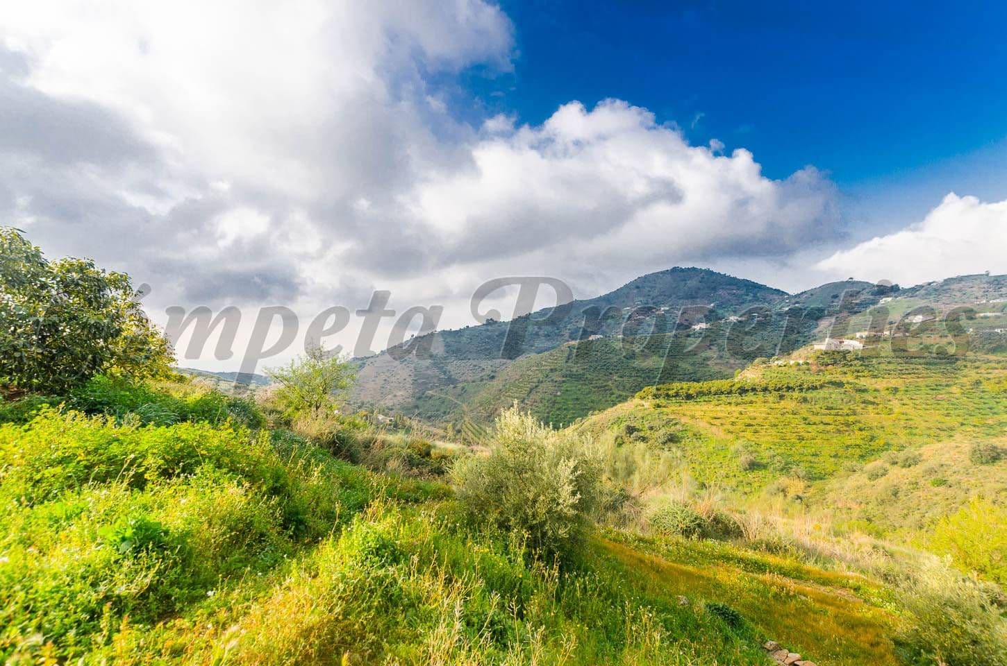 Photo 1 sur 7 — Terrain Rustique à Cómpeta · Cómpeta