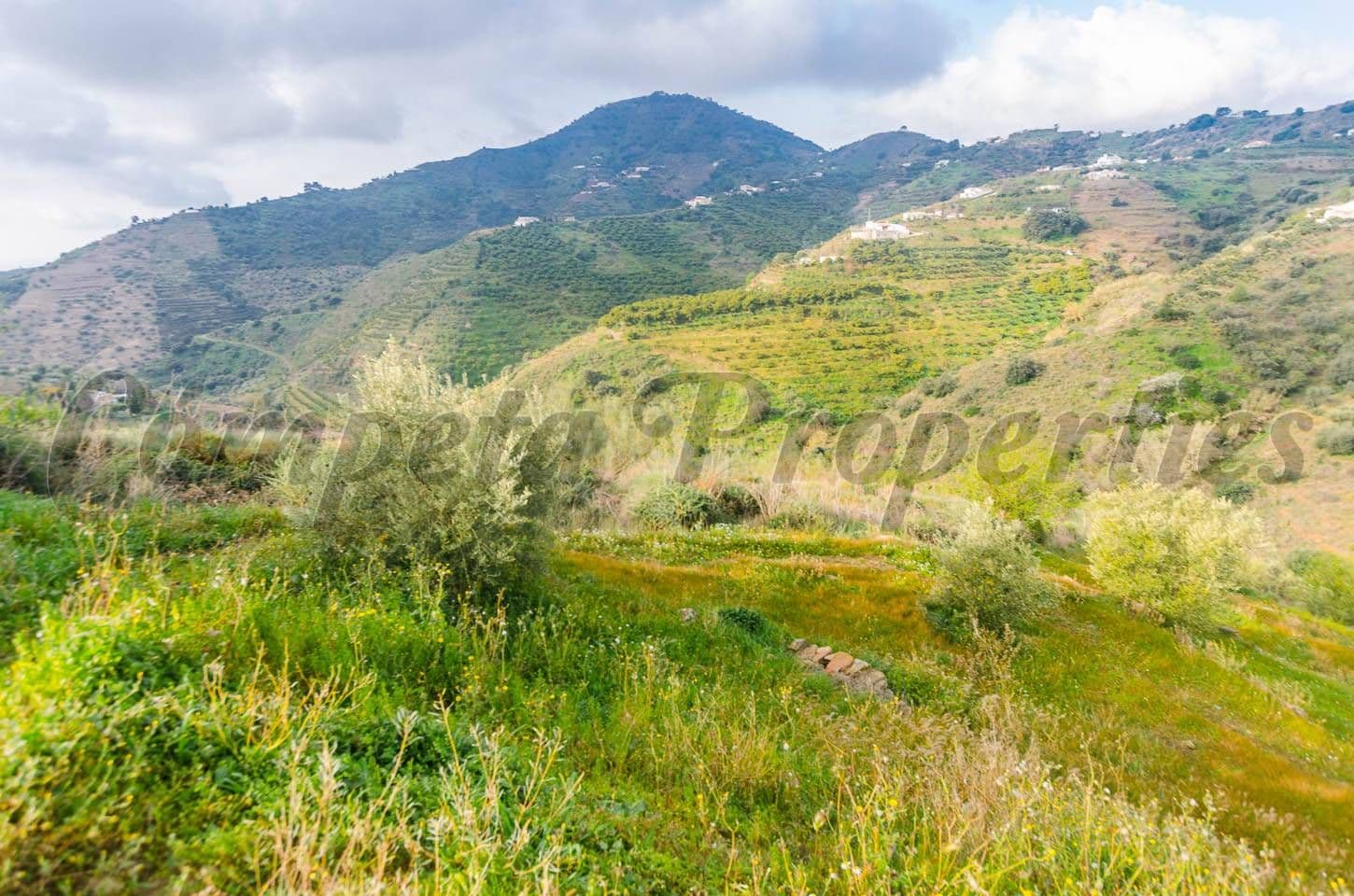 Photo 3 sur 7 — Terrain Rustique à Cómpeta · Cómpeta