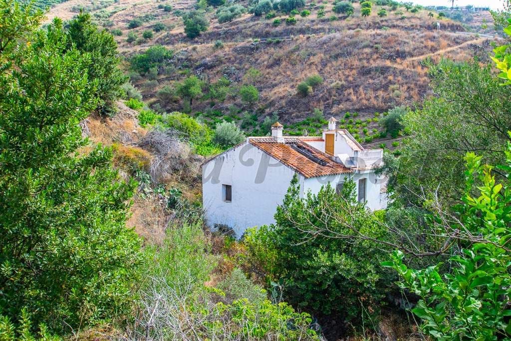 Landelijk Terrein in Torrox · Torrox