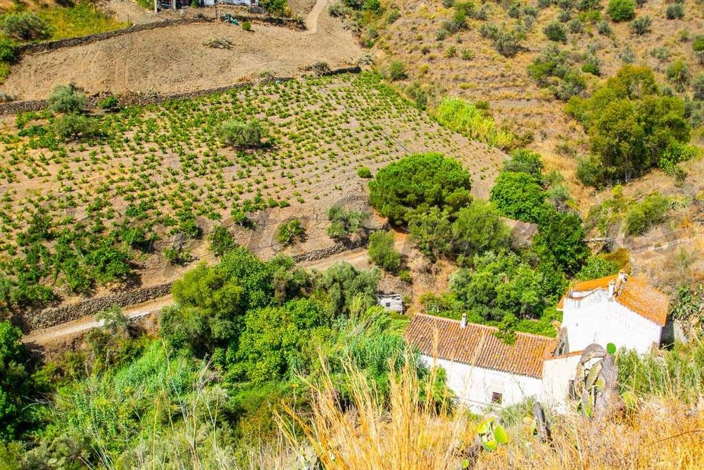 Foto 3 van 6 — Landelijk Terrein in Torrox · Torrox