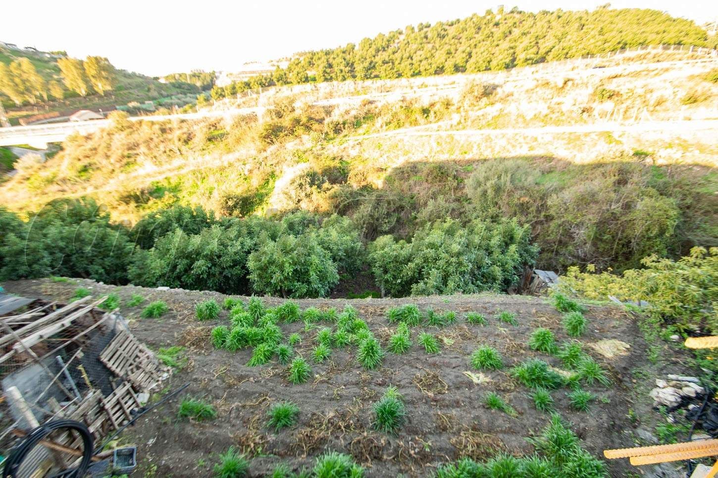 Terreno Urbano en Torrox · Torrox