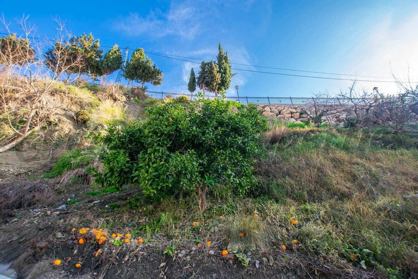 Terreno Rústico en Canillas de Albaida · Canillas de Albaida