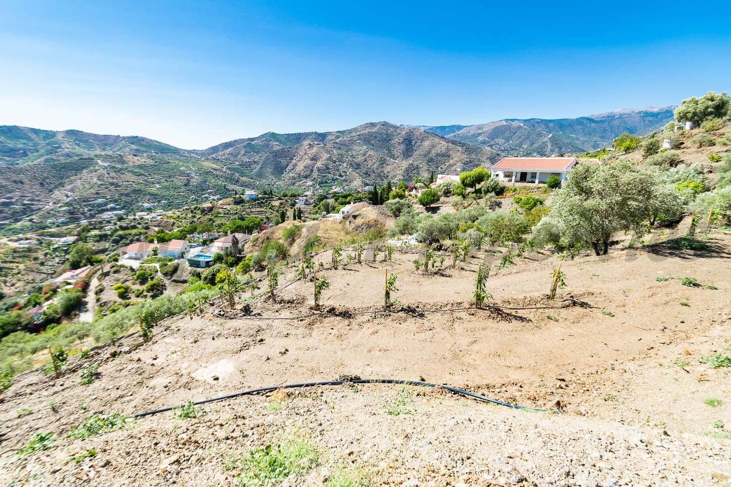 Photo 3 sur 7 — Terrain Rustique à Torrox · Torrox