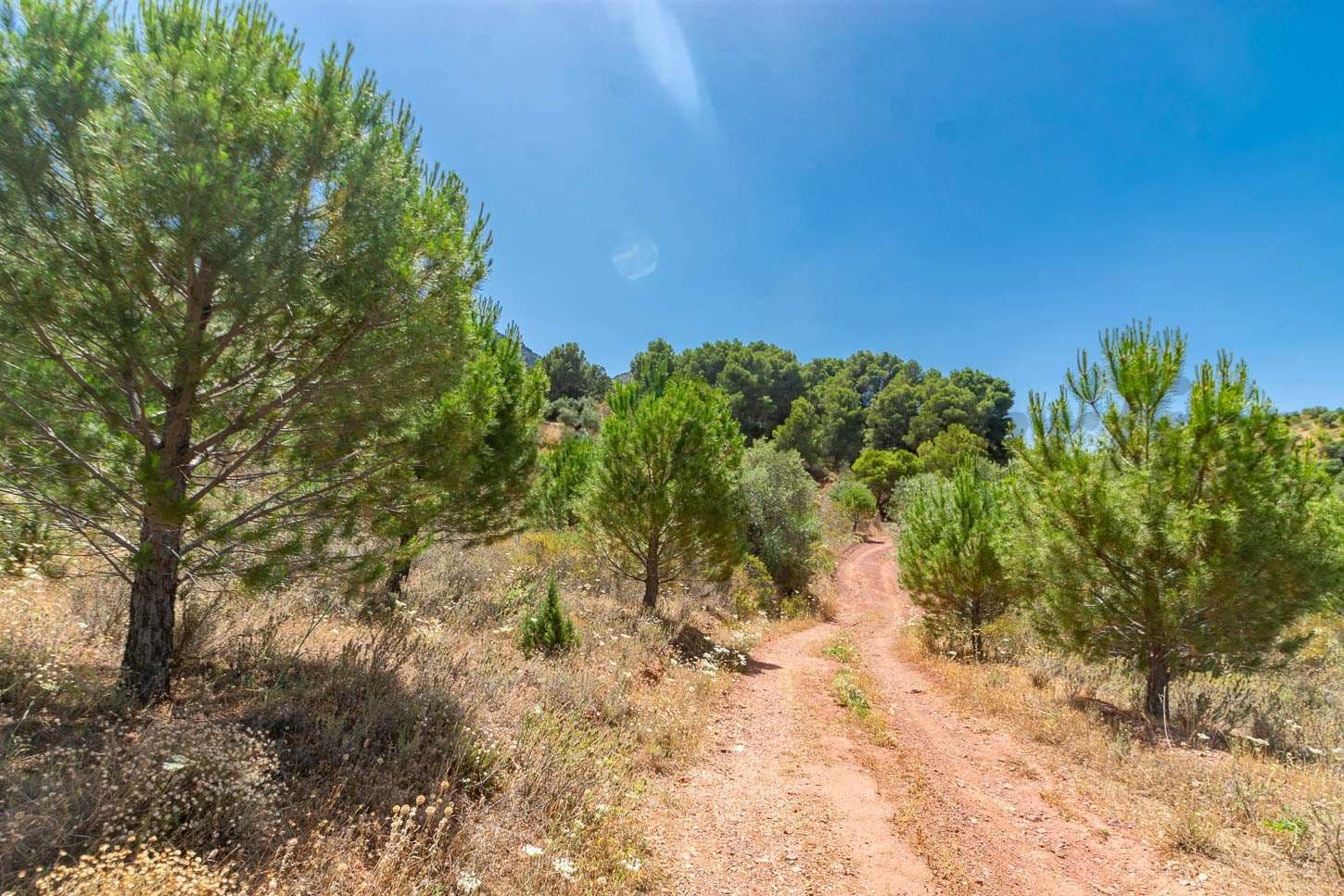 Rustic Land in Ardales · Ardales