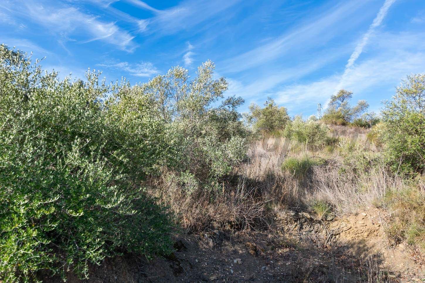 Photo 3 sur 8 — Terrain Rustique à Torrox · Torrox