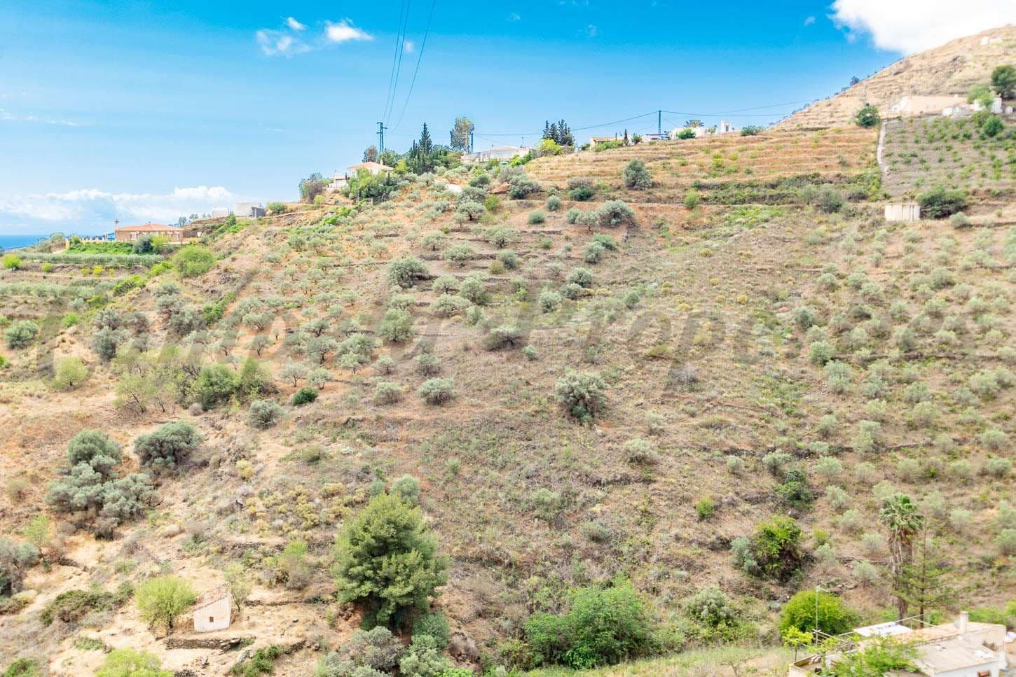 Landelijk Terrein in Torrox · Torrox