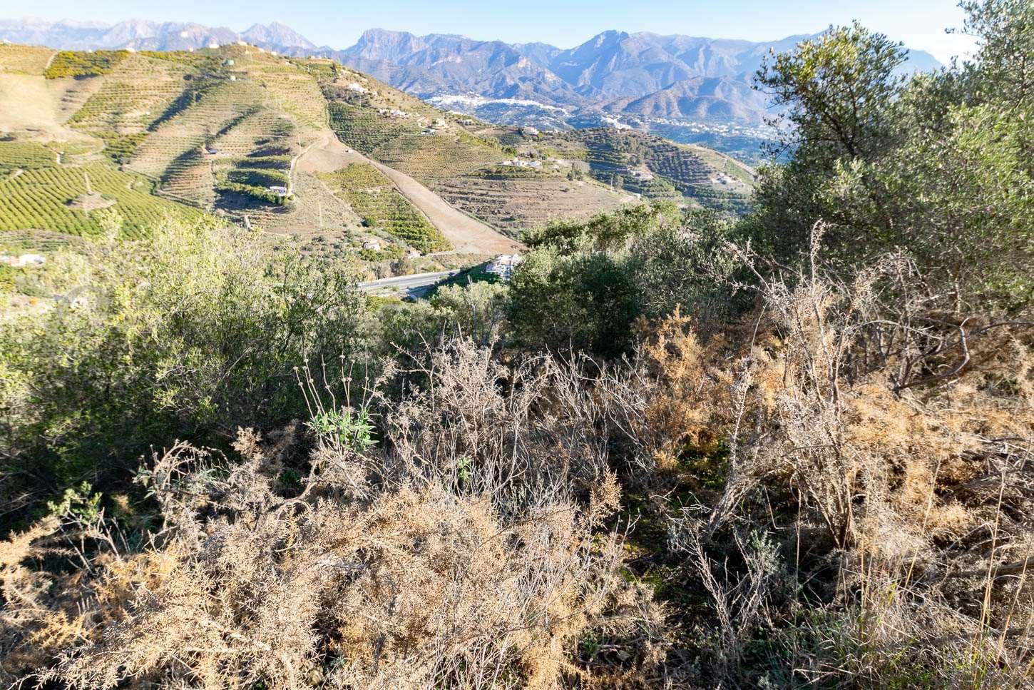 Terreno Rústico en Nerja · Nerja
