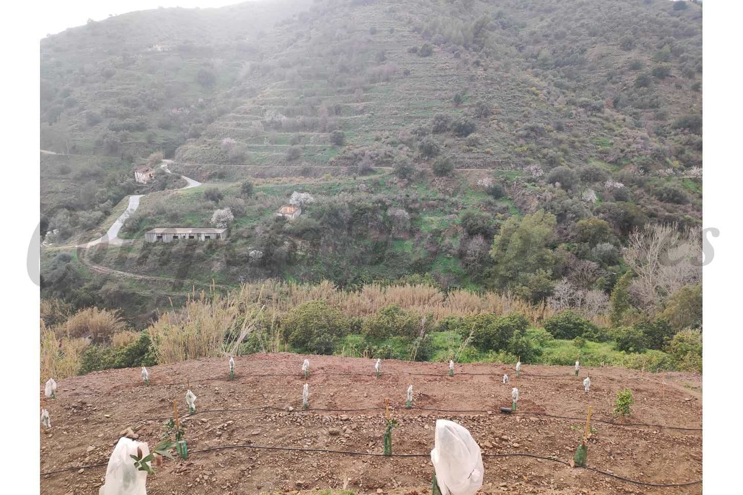 Ländliches Grundstück in Torrox · Torrox