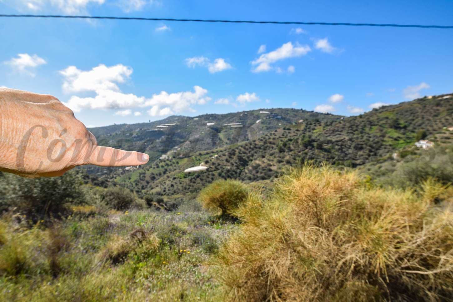 Photo 3 sur 16 — Terrain Rustique à Torrox · Torrox