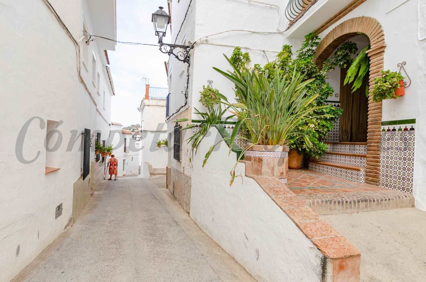 Hus i Canillas de Albaida · Canillas de Albaida