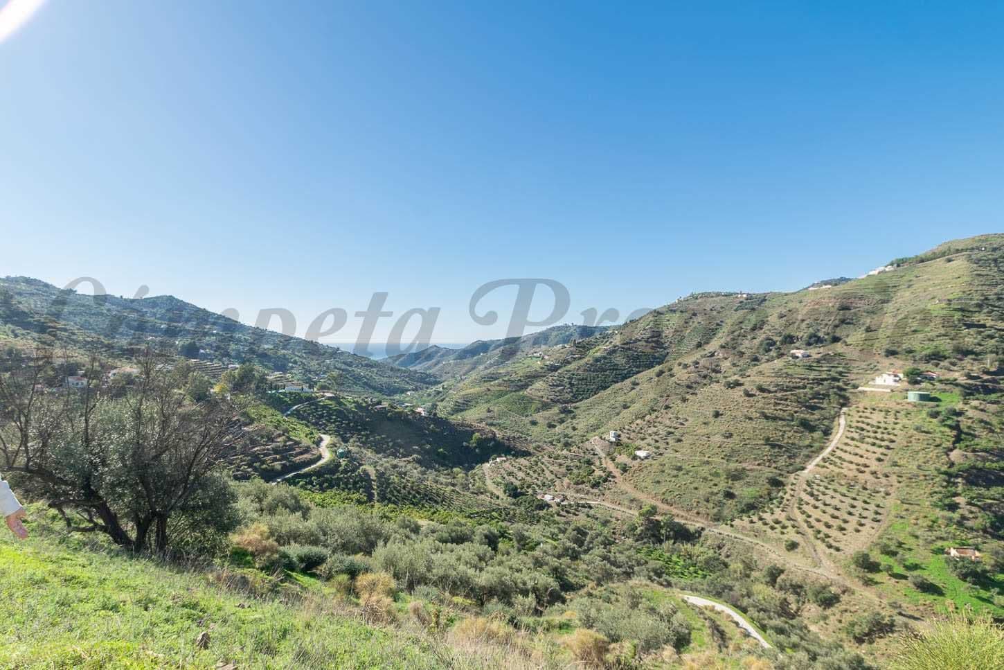 Terrain Rustique à Cómpeta · Cómpeta