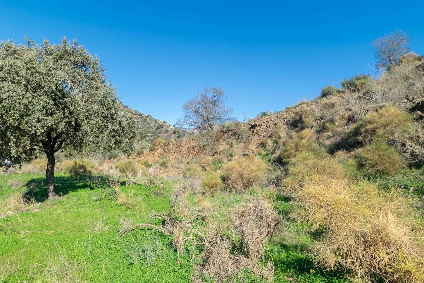 Photo 3 sur 7 — Terrain Rustique à Cómpeta · Cómpeta